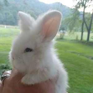 Meet your Posher, Carolyn